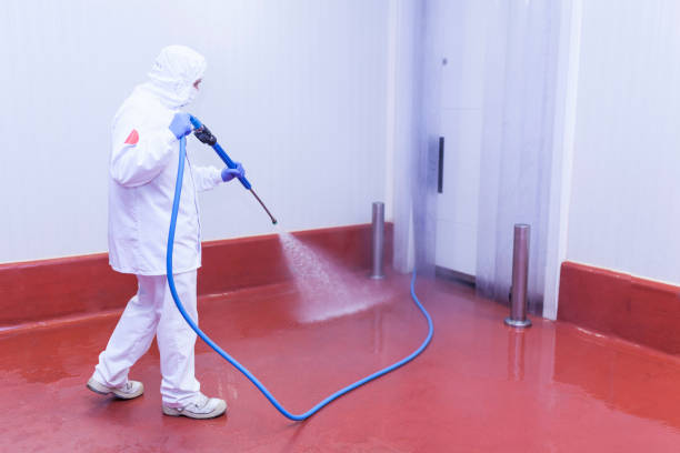 Best Driveway Pressure Washing  in Rosemead, CA
